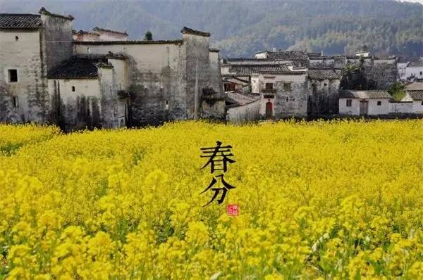 春分节气怎么艾灸？顺时养阳，正当时