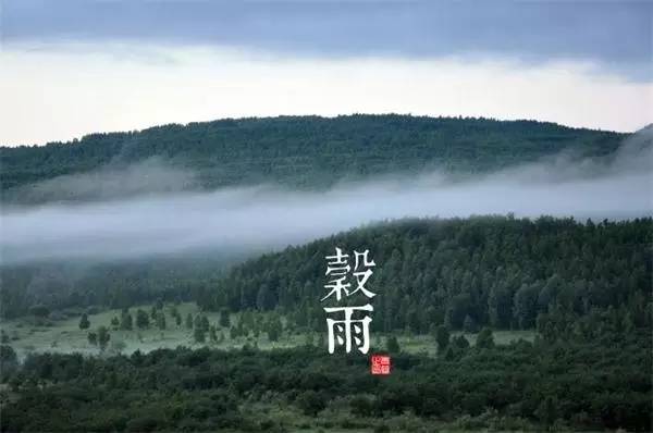 谷雨节气怎么艾灸？健脾利湿，喜迎夏