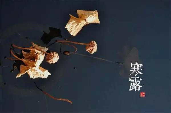 寒露节气怎么艾灸？健脾祛痰，清咽燥