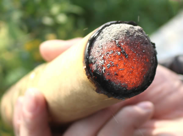 慢性肝炎怎么艾灸？