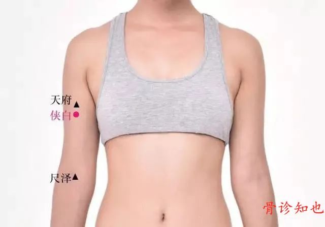 侠白穴在哪里，怎么艾灸针灸？