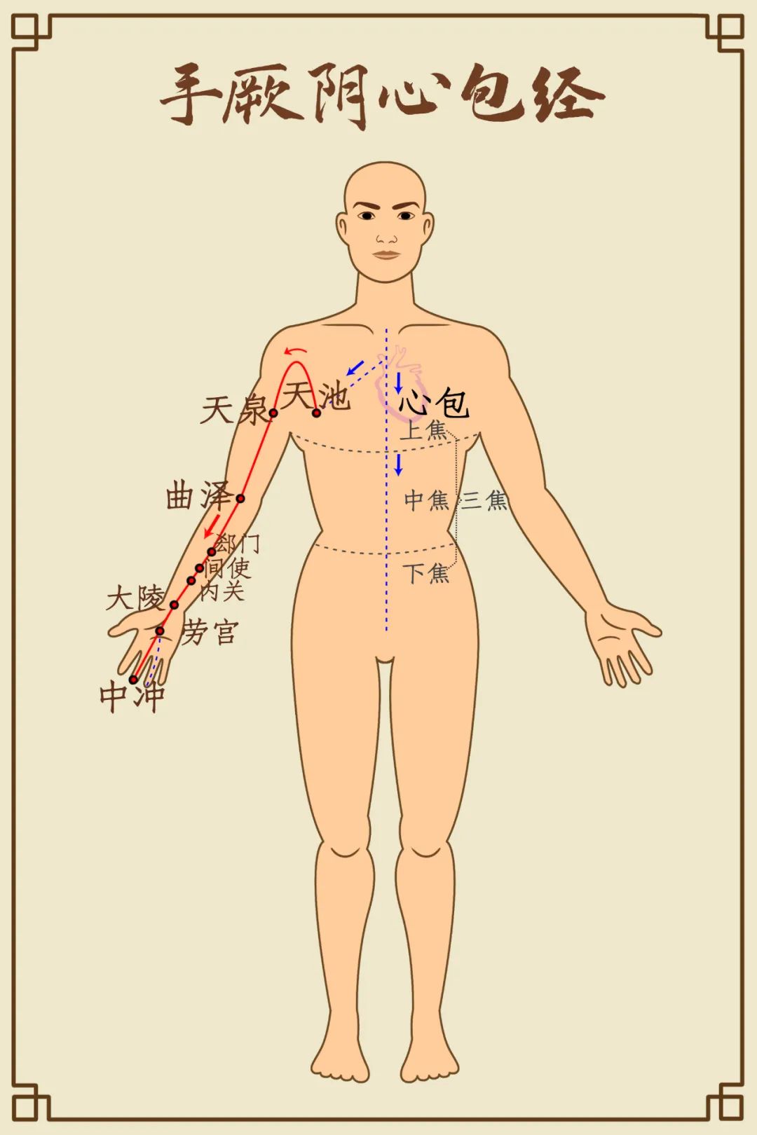 手厥阴心包经穴位