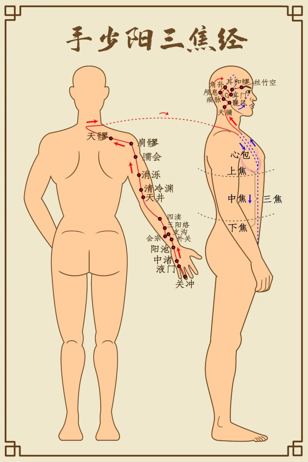 手少阳三焦经穴位