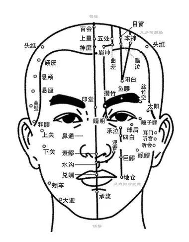 人体头部穴位图及作用功效