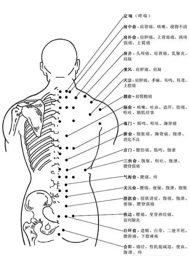 人体背部穴位图及作用功效