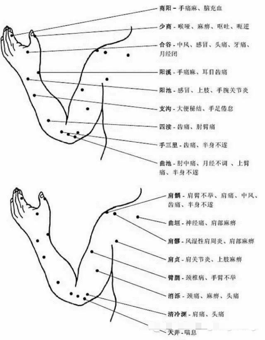 胳膊手部穴位图及作用功效