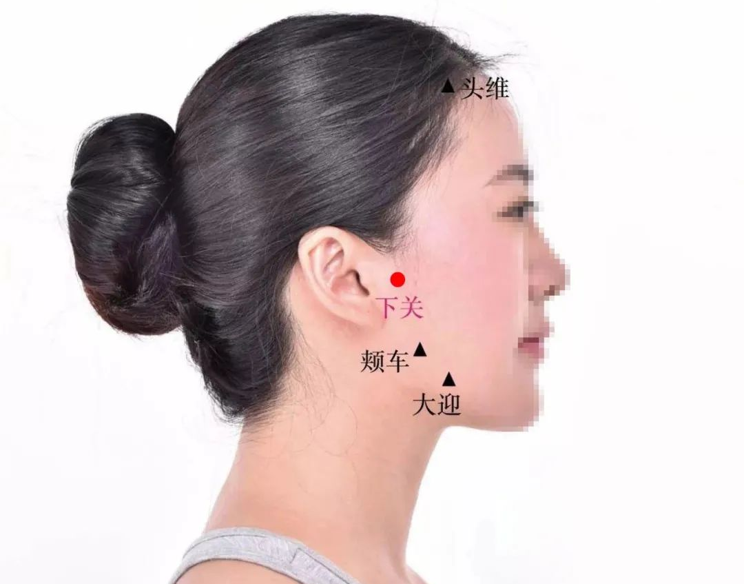 下关穴在哪里,怎么艾灸针灸?清热疏风、通利关窍 下关穴在哪里,怎么艾灸针灸?清热疏风、通利关窍