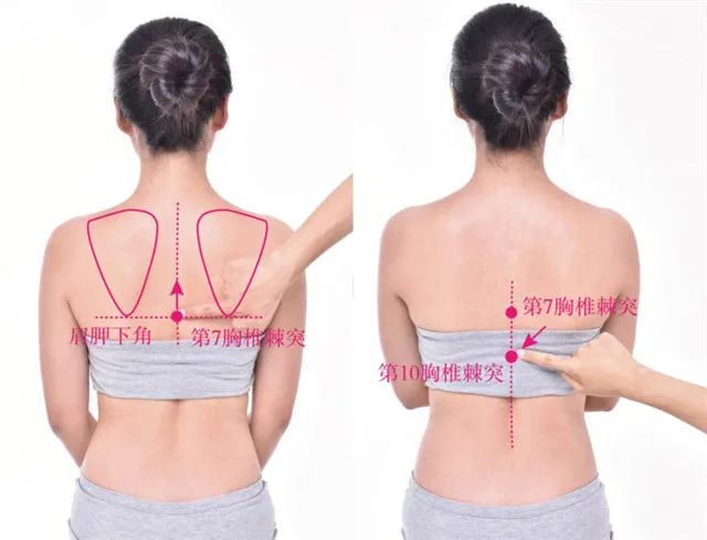 中枢穴在哪里，怎么艾灸针灸？理气和胃、治胃痛