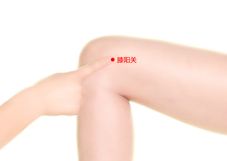 膝阳关穴在哪里,怎么艾灸针灸?疏利关节、祛风化湿 膝阳关穴在哪里,怎么艾灸针灸?疏利关节、祛风化湿