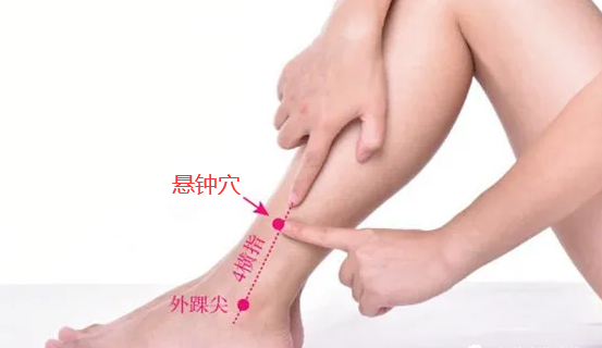 悬钟穴在哪里,怎么艾灸针灸?舒筋活络、清热生气 悬钟穴在哪里,怎么艾灸针灸?舒筋活络、清热生气