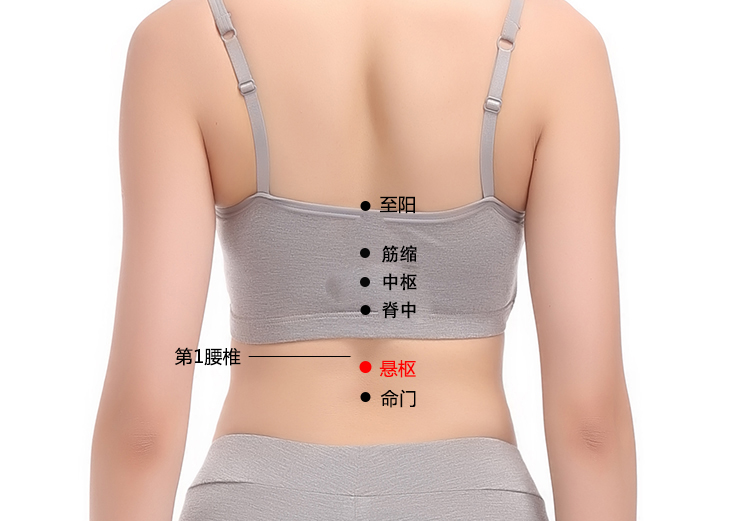 悬枢穴在哪里,怎么艾灸针灸?腰痛、腹痛、泄泻、痢疾、脱肛 悬枢穴在哪里,怎么艾灸针灸?腰痛、腹痛、泄泻、痢疾、脱肛