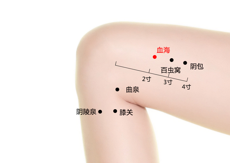 血海穴在哪里,怎么艾灸针灸?让全身气血充盈 血海穴在哪里,怎么艾灸针灸?让全身气血充盈