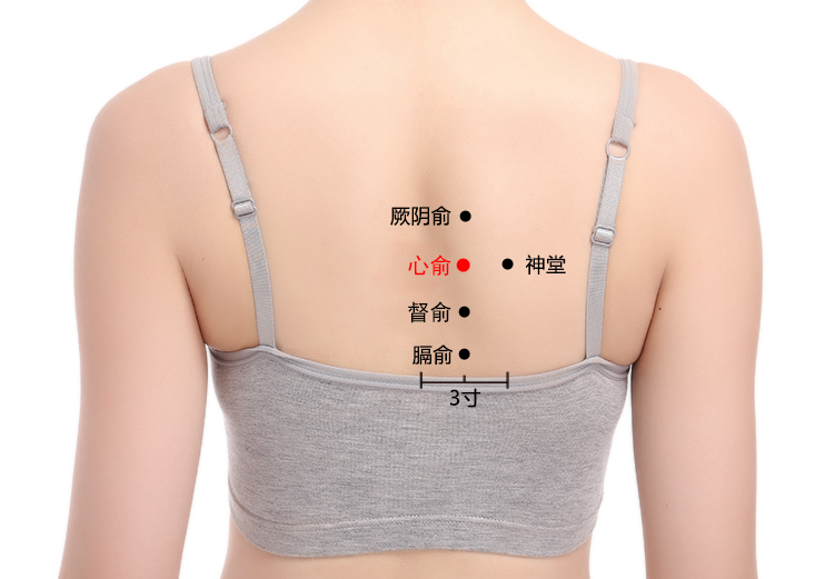 心俞穴在哪里,怎么艾灸针灸?养心安神、宁心定惊 心俞穴在哪里,怎么艾灸针灸?养心安神、宁心定惊