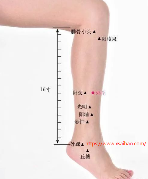 阳交穴在哪里，怎么艾灸针灸？舒筋活络、理气降浊