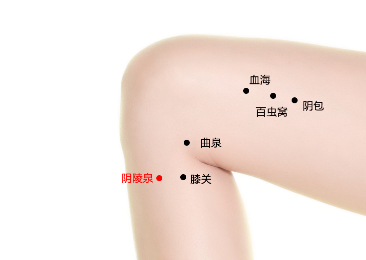 阴陵泉位置作用与功效，各种疗法及注意事项