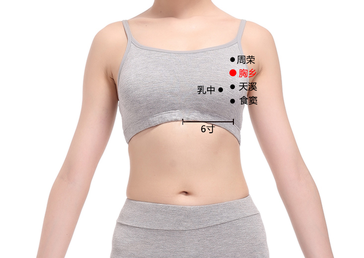 胸乡穴位置作用与功效，各种疗法及注意事项