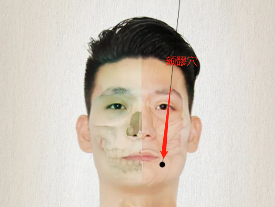 颏髎穴位置作用与功效，各种疗法及注意事项
