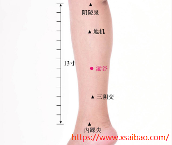 漏谷穴位置作用与功效，各种疗法及注意事项