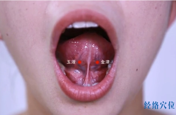 金津玉液位置作用与功效，各种疗法及注意事项