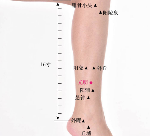 光明穴位置作用与功效，各种疗法及注意事项