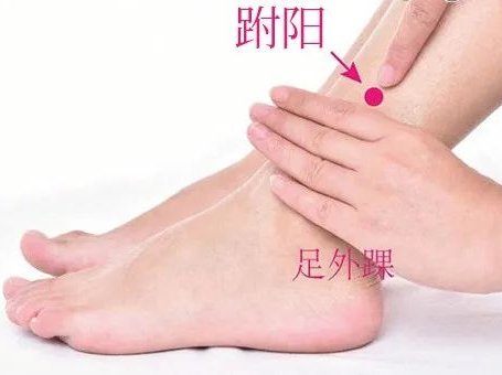 跗阳穴位置作用与功效，各种疗法及注意事项