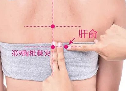 肝俞穴位置作用与功效，各种疗法及注意事项
