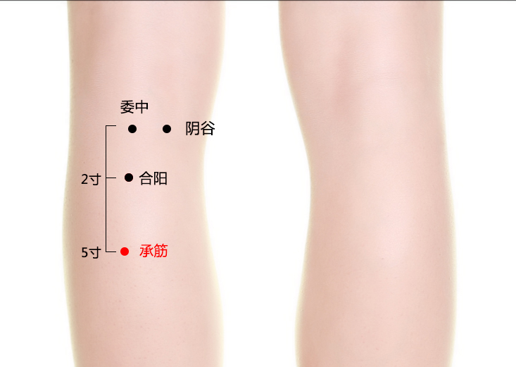 承筋穴位置作用与功效，各种疗法及注意事项