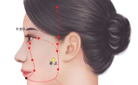 牵正穴位置作用与功效，各种疗法及注意事项